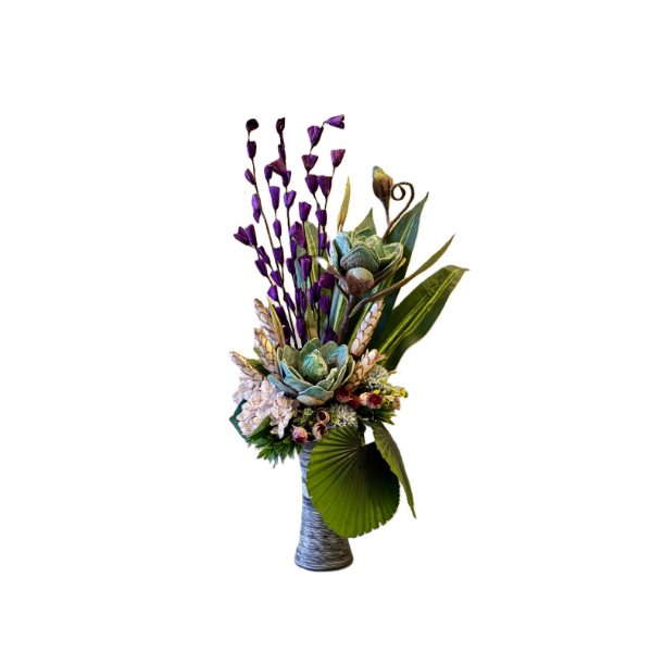 Exotic Phalaenopsis Orchid